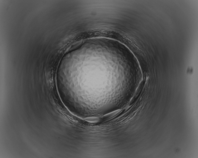X0000091530771200708241711