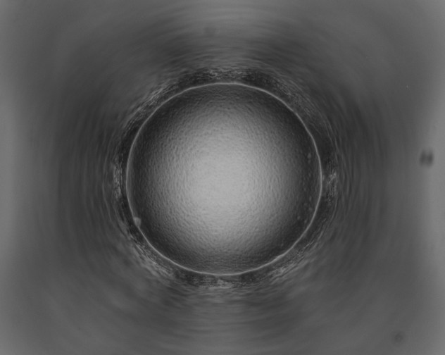X0000091530772200708241711