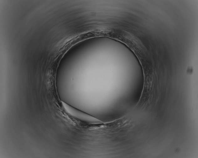 X0000091530773200708241711