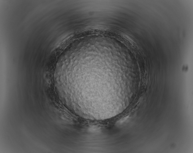 X0000091530774200708241711