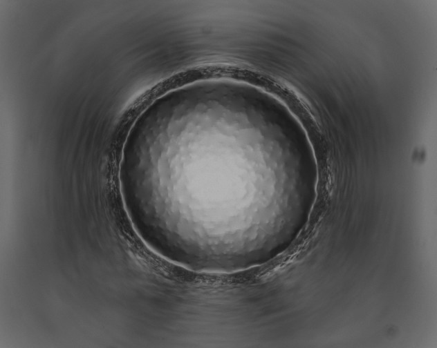 X0000091530775200708241711