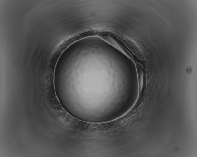 X0000091530776200708241711