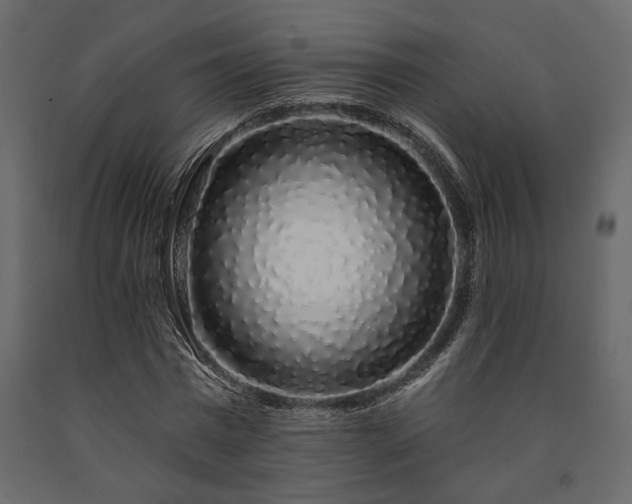 X0000091530777200708241711