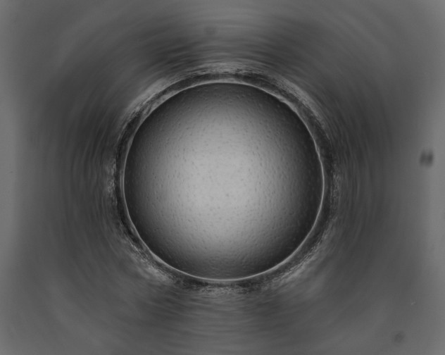 X0000091530778200708241711