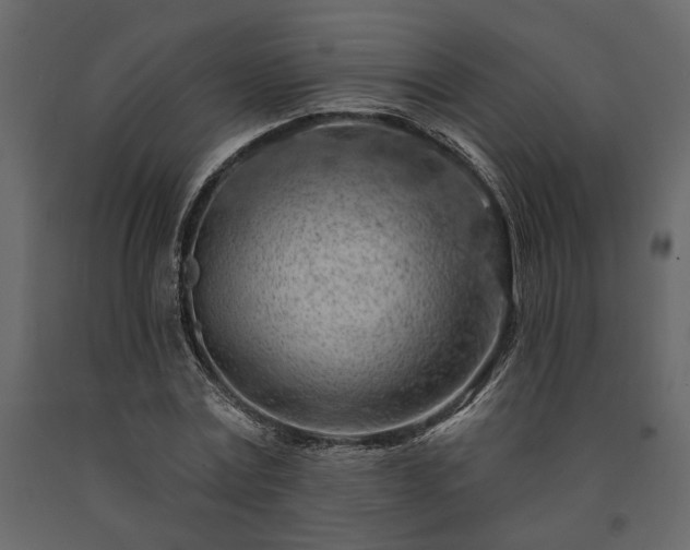 X0000091530779200708241711