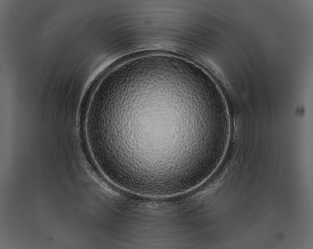X0000091530780200708241711