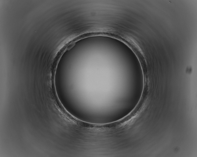 X0000091530781200708241711