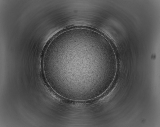 X0000091530782200708241711