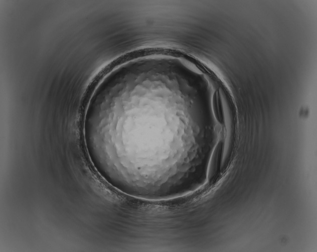 X0000091530783200708241711