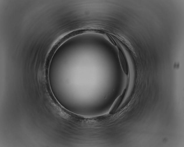 X0000091530784200708241711