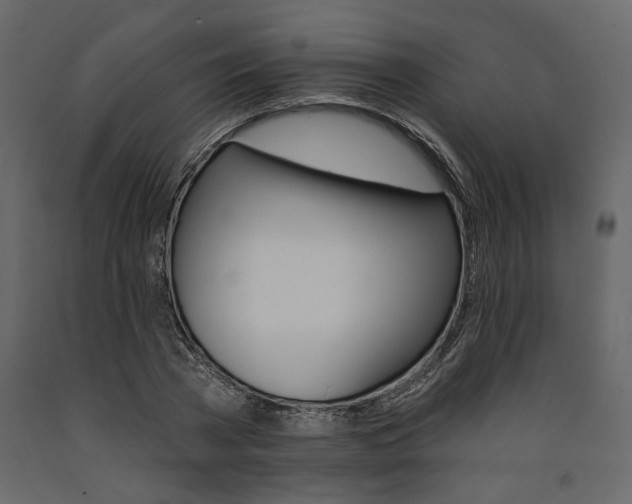 X0000091530785200708241711