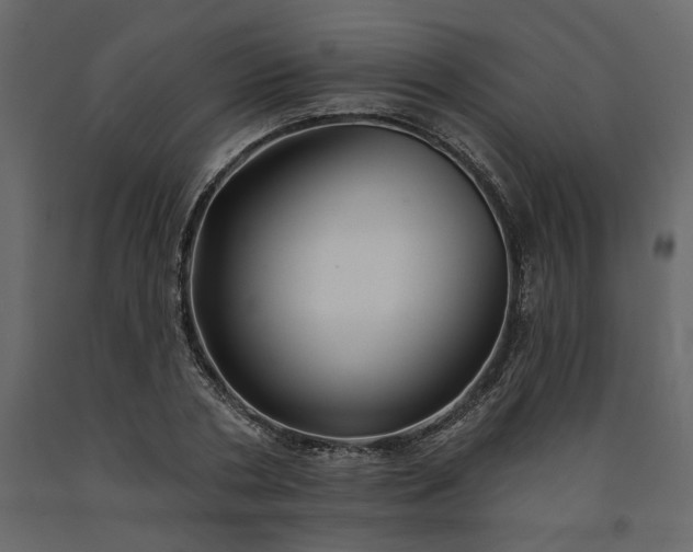 X0000091530786200708241711