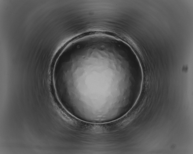 X0000091530787200708241711