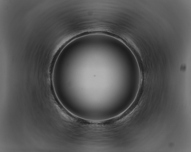 X0000091530789200708241711