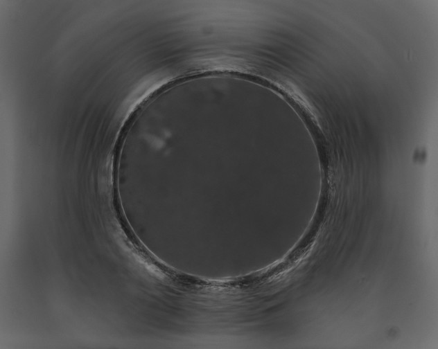 X0000091530790200708241711