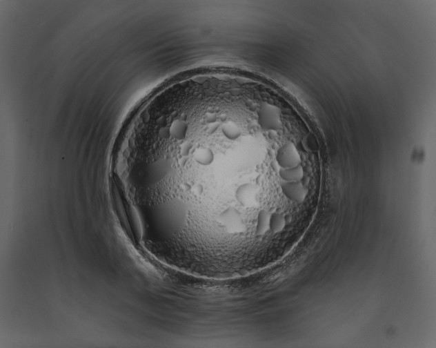 X0000091530791200708241711