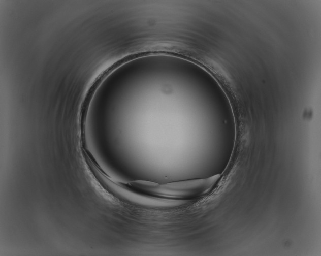 X0000091530792200708241711