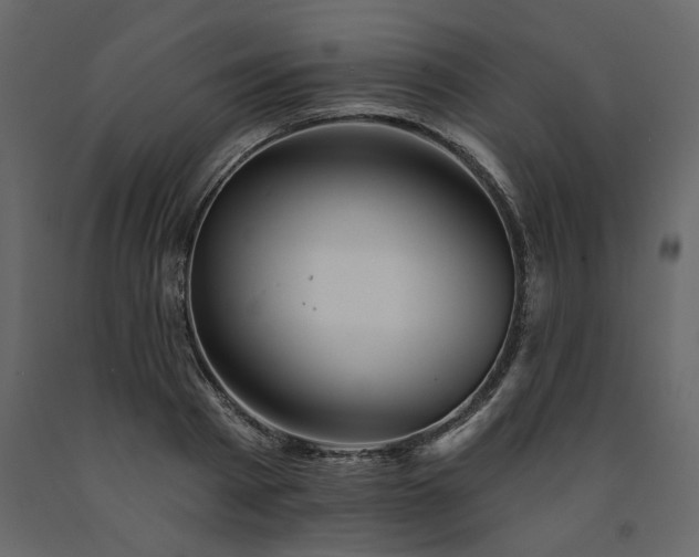 X0000091530793200708241711