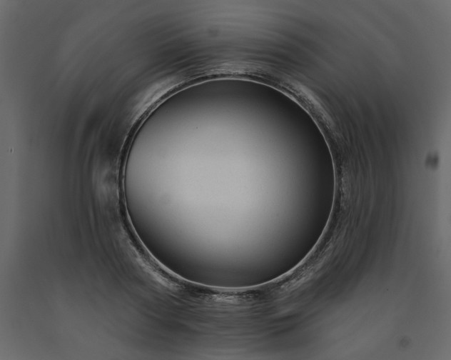 X0000091530794200708241711