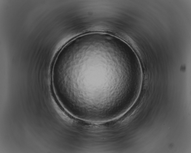 X0000091530795200708241711