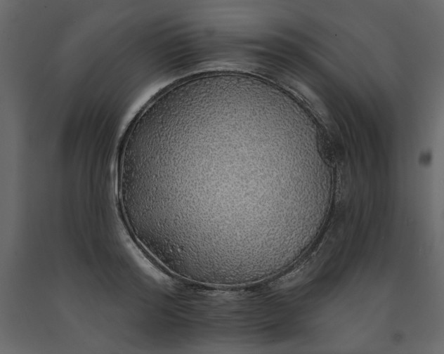 X0000091530796200708241711