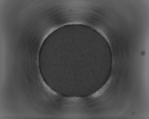 X0000091530797200708241711