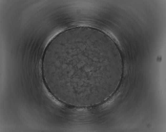 X0000091530798200708241711