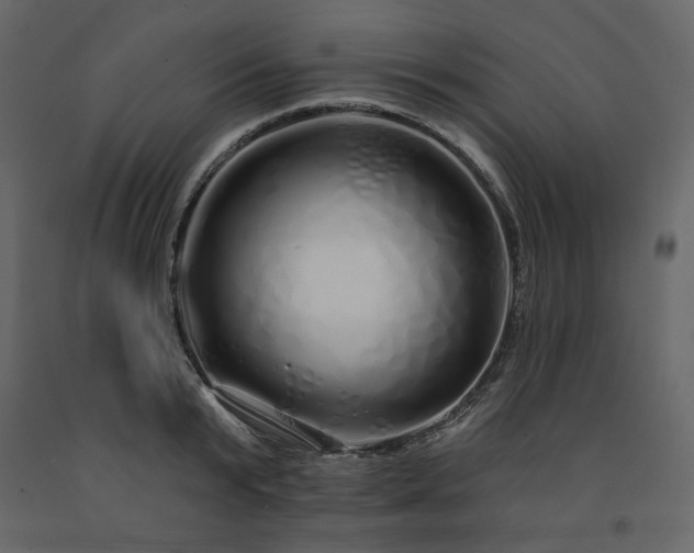 X0000091530799200708241711