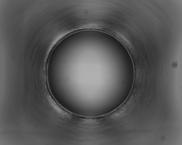 X0000091530800200708241711