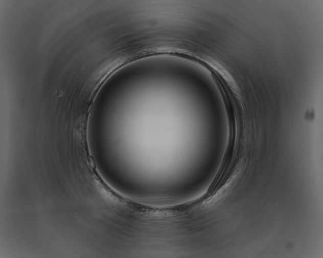 X0000091530801200708241711