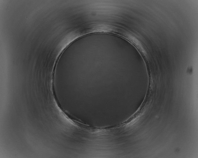 X0000091530802200708241710