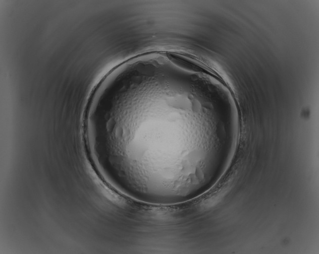X0000091530803200708241710