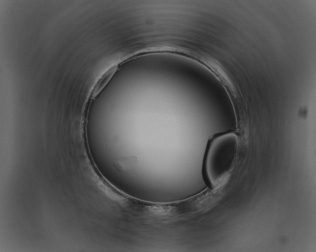 X0000091530805200708241710