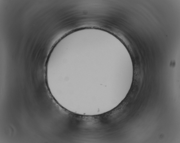 X0000091530807200708241710