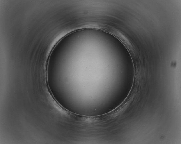 X0000091530808200708241710