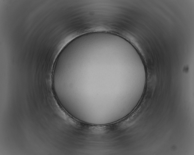 X0000091530810200708241710