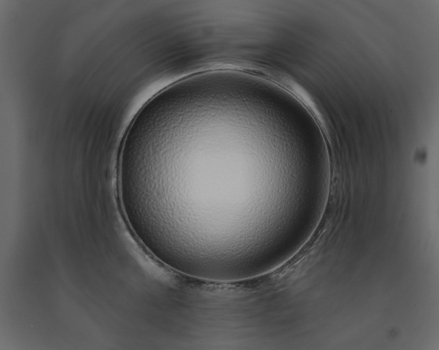X0000091530811200708241710