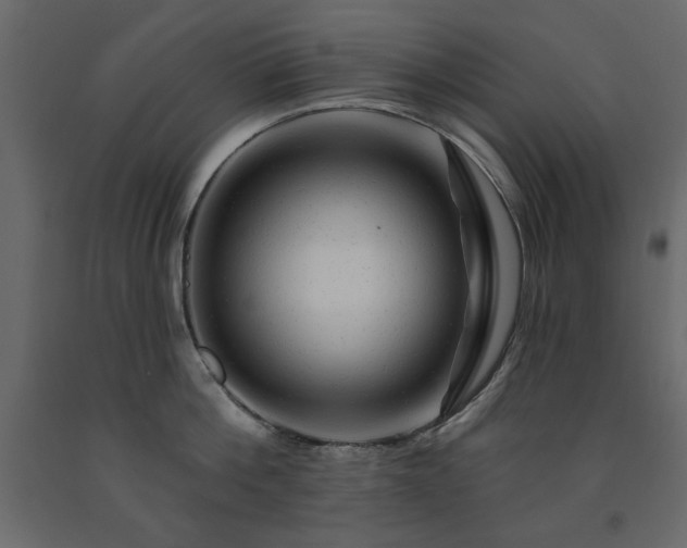 X0000091530812200708241710