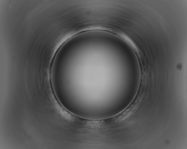 X0000091530813200708241710