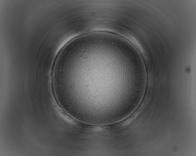 X0000091530814200708241710
