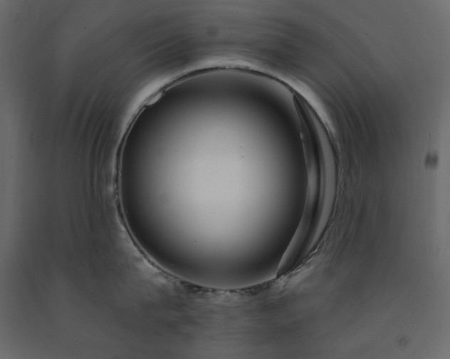 X0000091530815200708241710