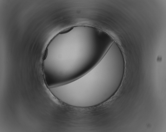X0000091530816200708241710