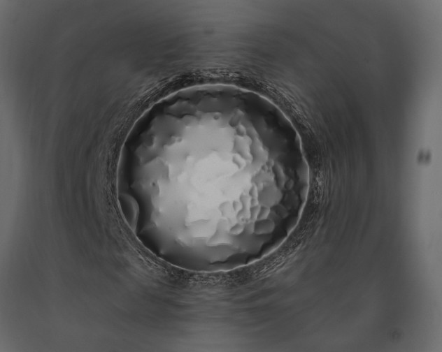X0000091530817200708241710
