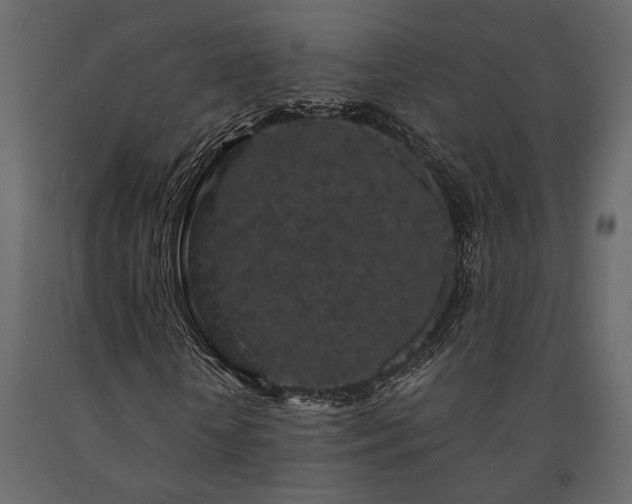 X0000091530818200708241710