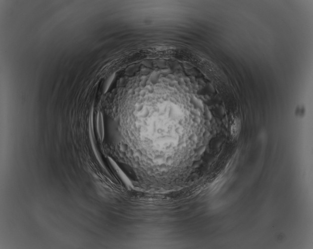 X0000091530819200708241710