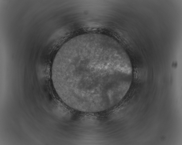 X0000091530820200708241710