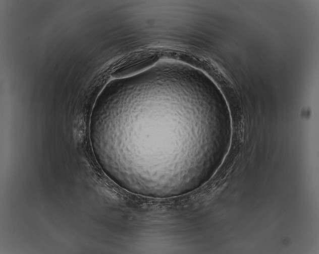 X0000091530821200708241710