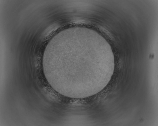 X0000091530824200708241710