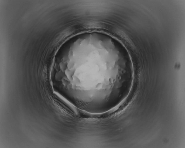 X0000091530825200708241710