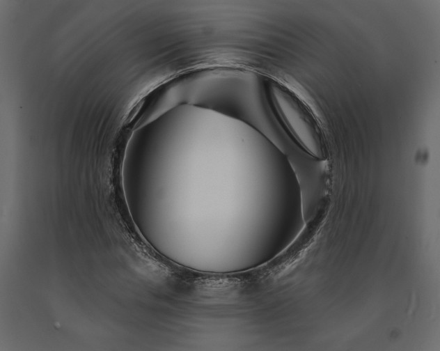 X0000091530826200708241710